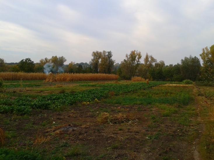 Устя з panoramio.com - Устя