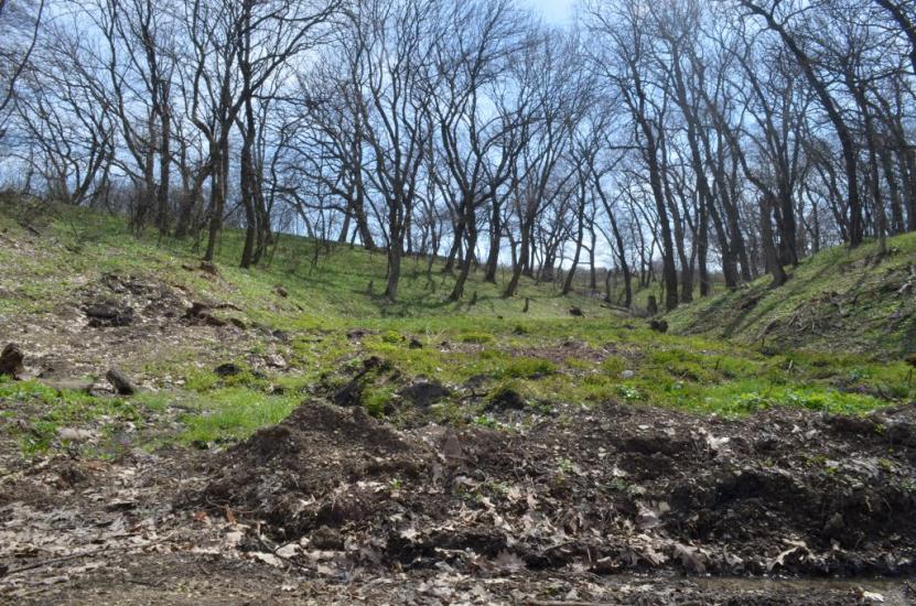 Ковпакове з panoramio.com - Колпаково