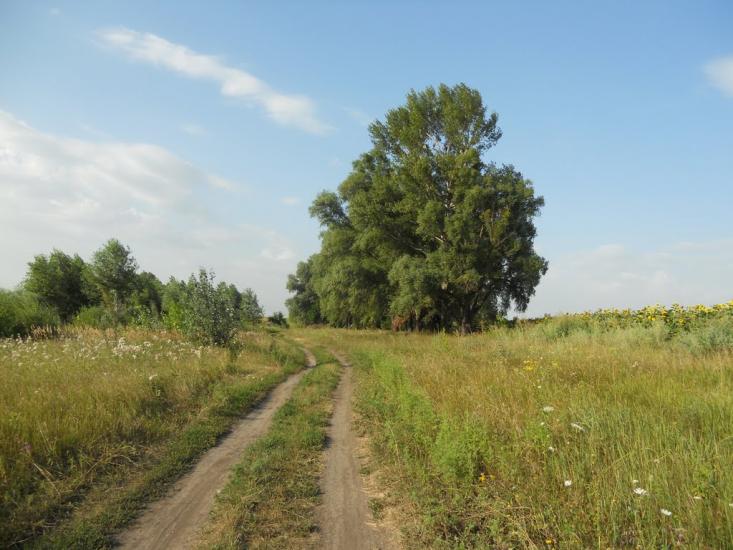 Першотравенка з panoramio.com - Первотравенка