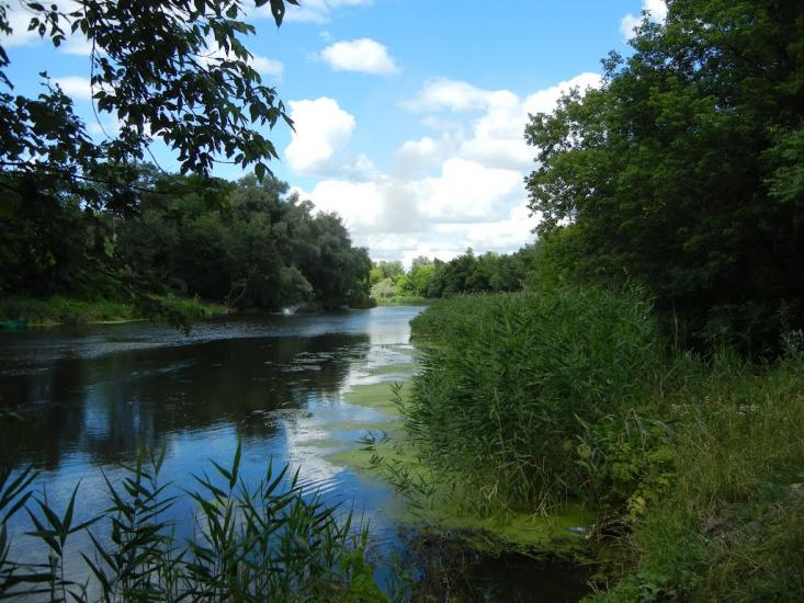 Есхар з panoramio.com - Эсхар