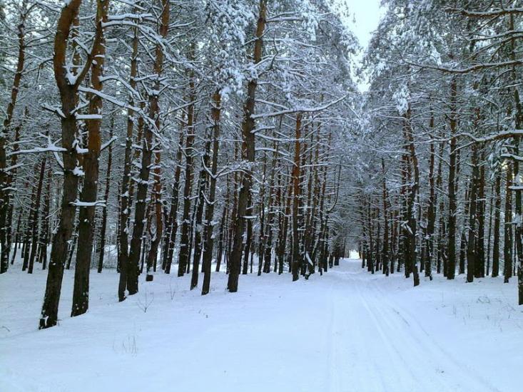 Ямпіль з panoramio.com - Ямпіль