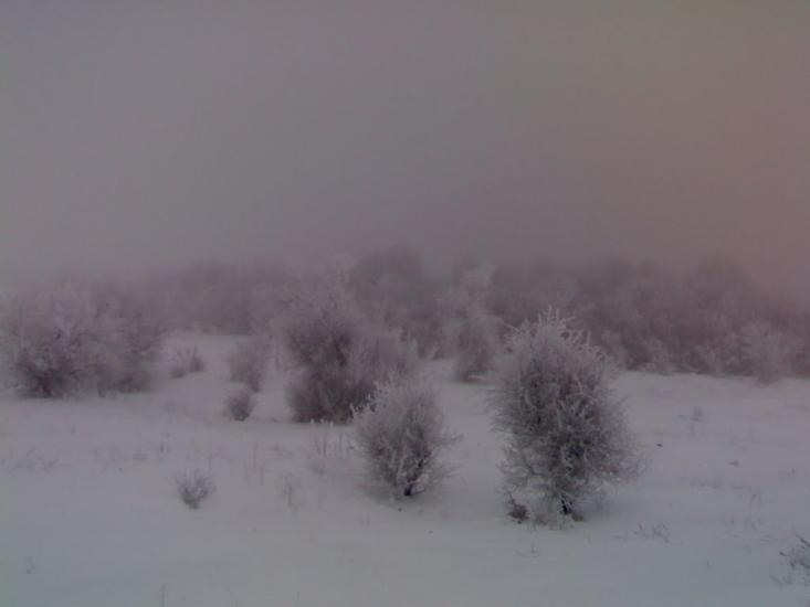 Гудевичеве з panoramio.com - Гудевичеве