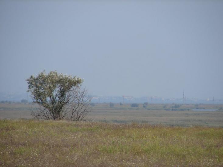 Біленьке з panoramio.com - Біленьке