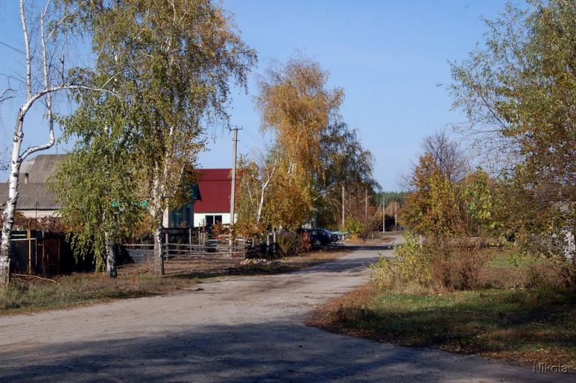 Кудряшівка з panoramio.com - Кудряшовка