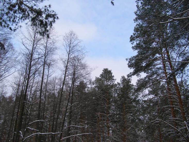 Суслівка з panoramio.com - Суслівка
