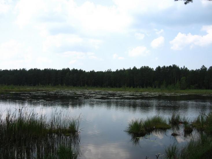 Варварівка з panoramio.com - Варварівка