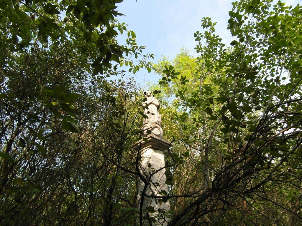 Тарноруда з panoramio.com - Tarnoruda