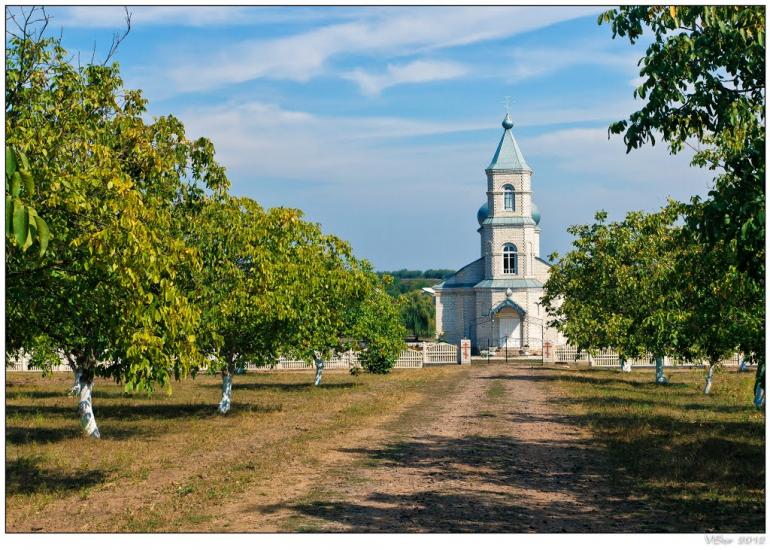 Ставкове з panoramio.com - Ставковое