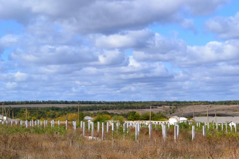Новомлинівка з panoramio.com - Новомлинівка
