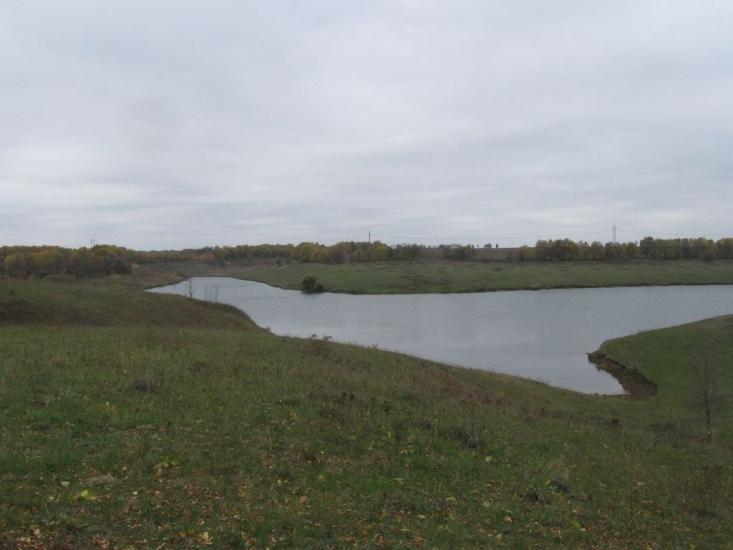 Підліснівка з panoramio.com - Подлесновка