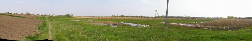 Петриківка з panoramio.com - Петриковка