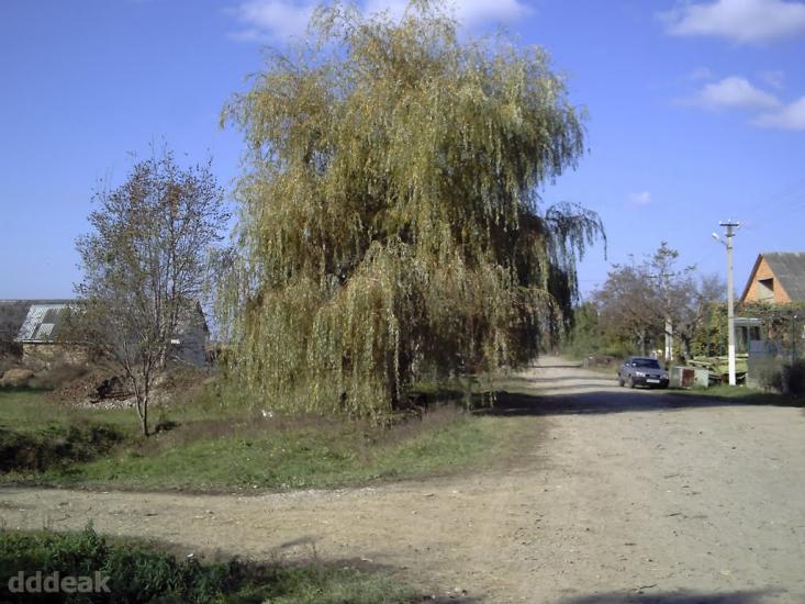 Карачин з panoramio.com - Карачин