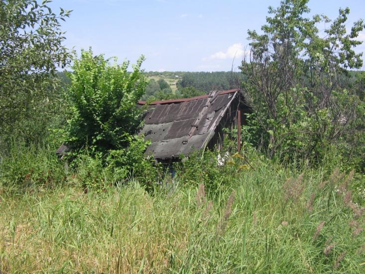 Шестакове з panoramio.com - Шестакове