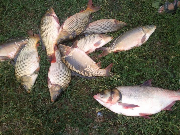 Зарубинці з panoramio.com - Зарубинці