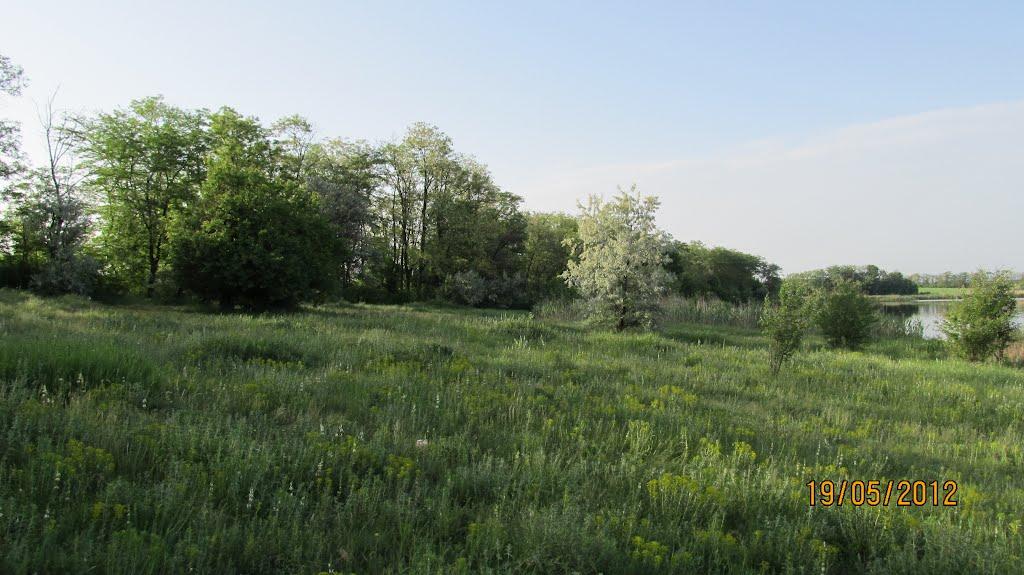 Кузнецово-Михайлівка з panoramio.com - Кузнецово-Михайлівка