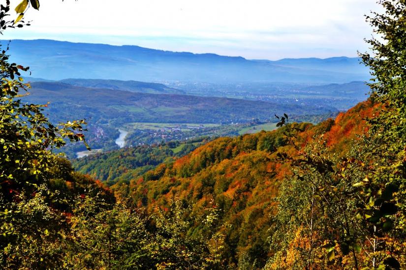 Росішка з panoramio.com - Росішка