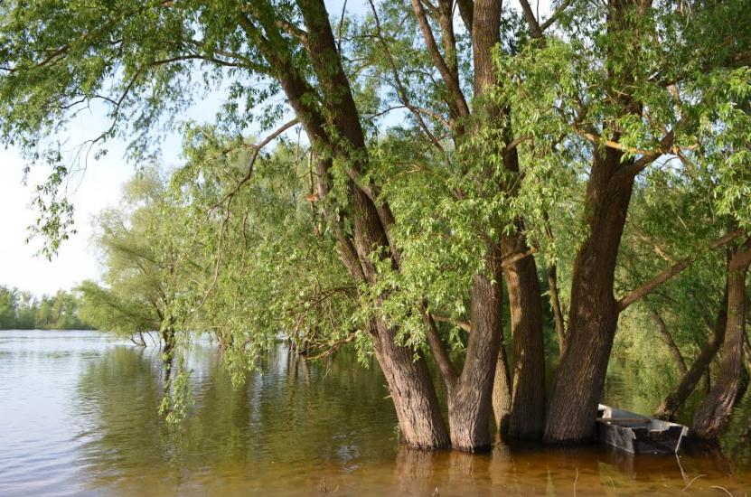 Пухівка з panoramio.com - Pukhivka