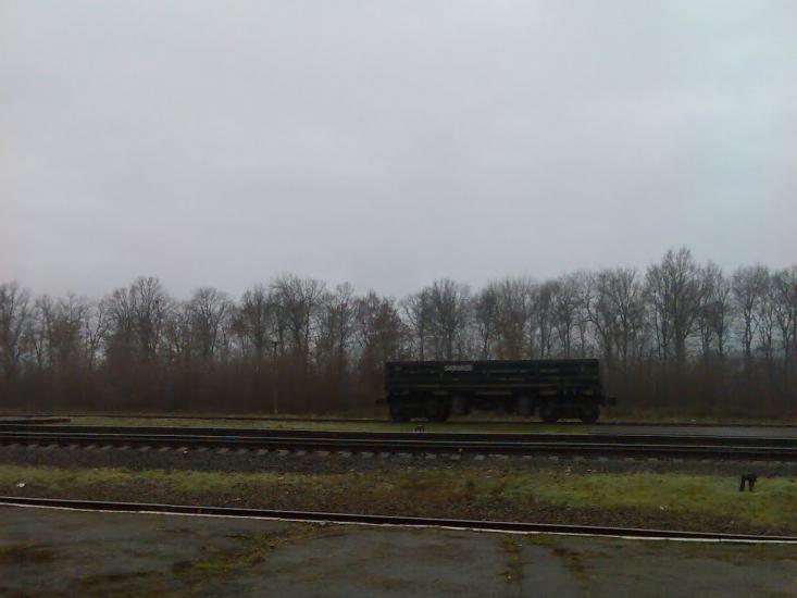 Пашківці з panoramio.com - Пашковцы