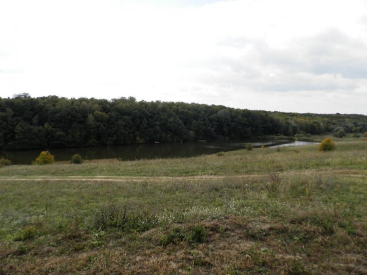 Прихідьки з panoramio.com - Прихідьки