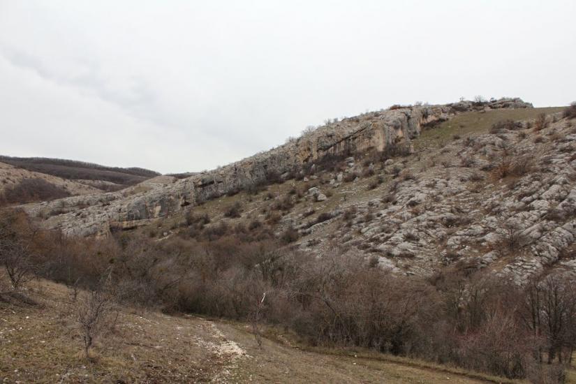 Пчолине з panoramio.com - Pcholyne