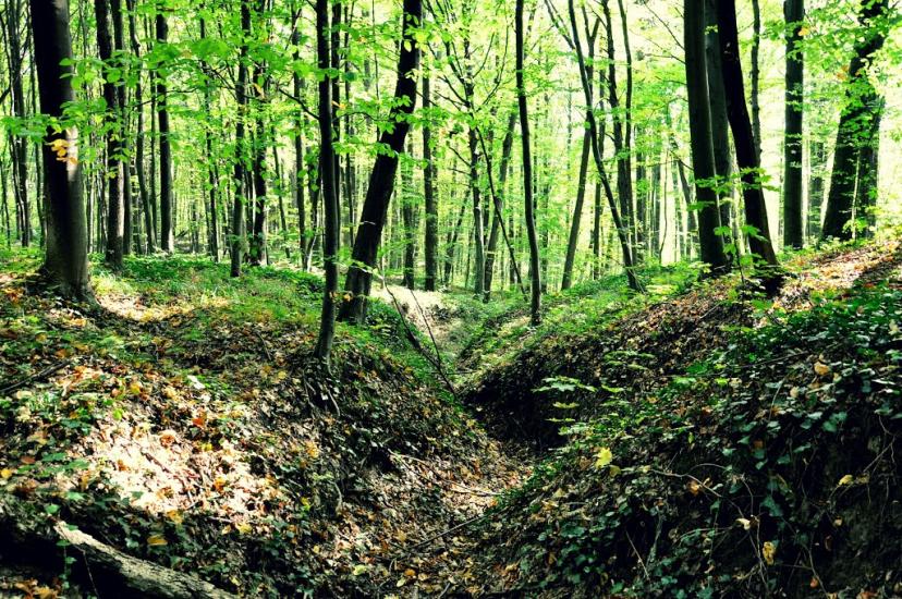 Молодія з panoramio.com - Молодия