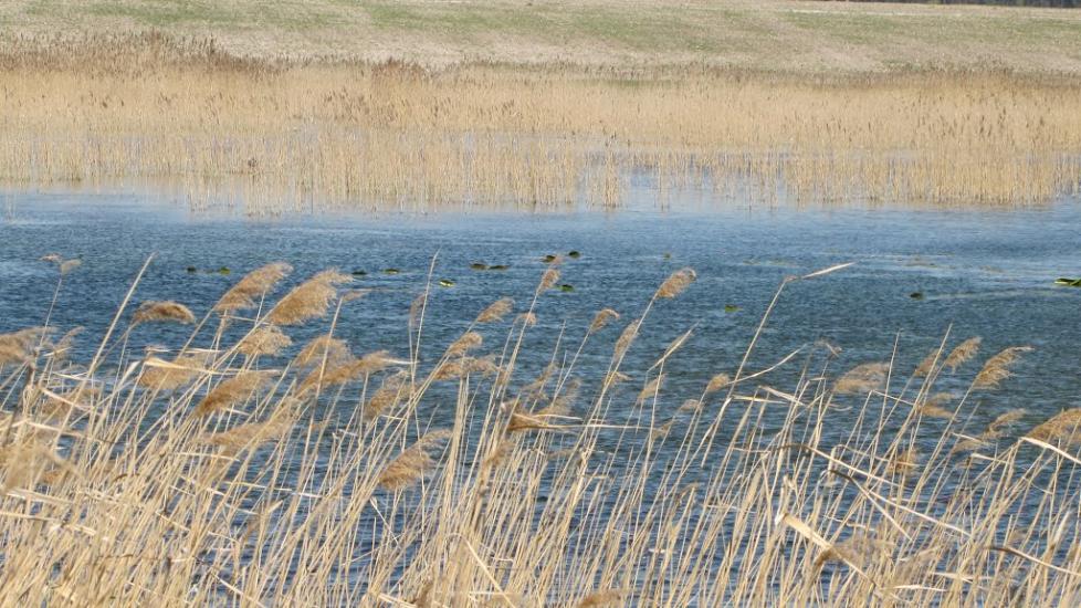 Пустоіванне з panoramio.com - Пустоиванье