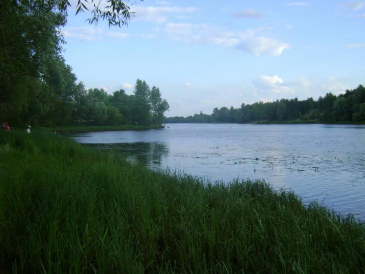 Осещина з panoramio.com - Осещина