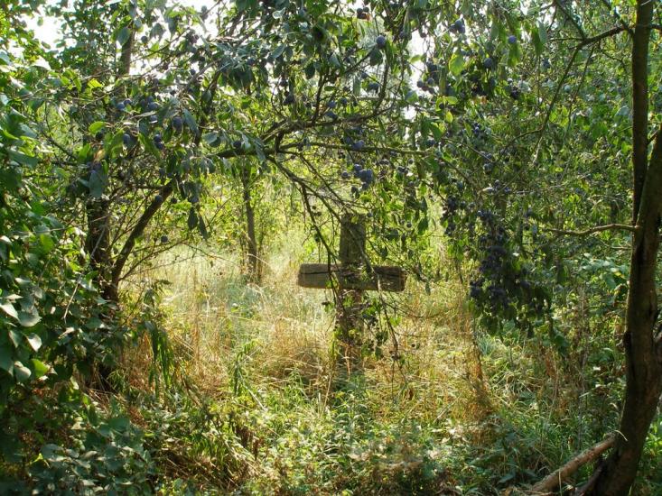 Дергачі з panoramio.com - Дергачи