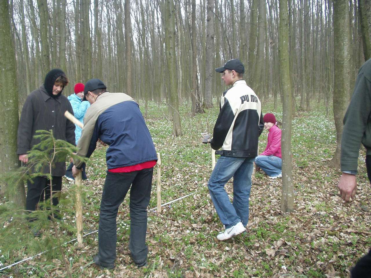 школа - Городниця