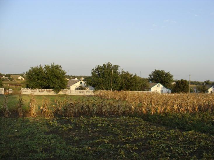 Кудашівка з panoramio.com - Кудашевка