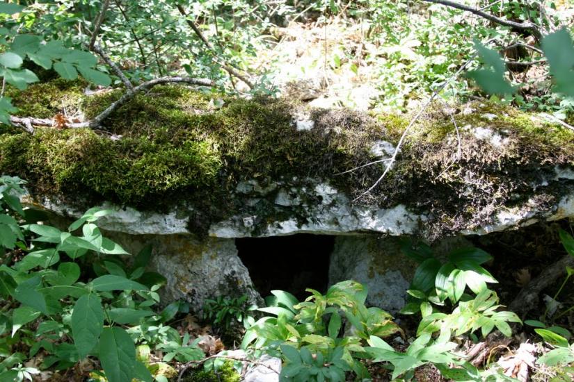 Пчолине з panoramio.com - Pcholyne