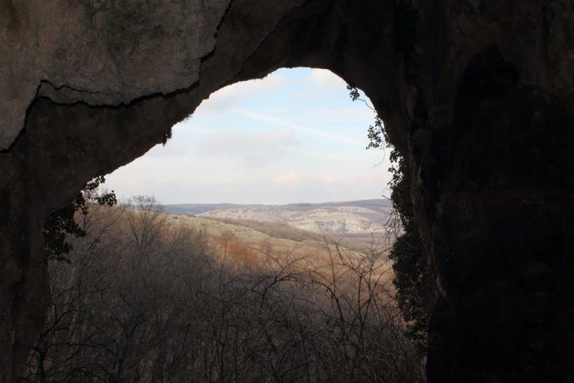 Пчолине з panoramio.com - Пчелиное