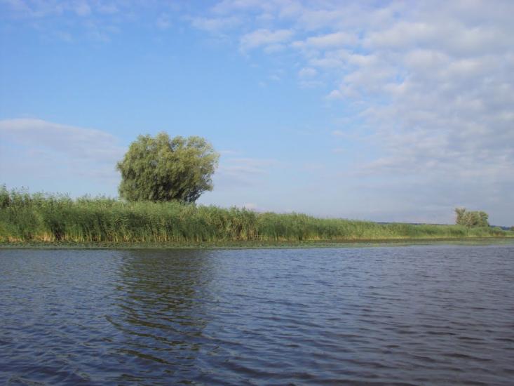 Кам'яні Потоки з panoramio.com - Kamyani Potoky