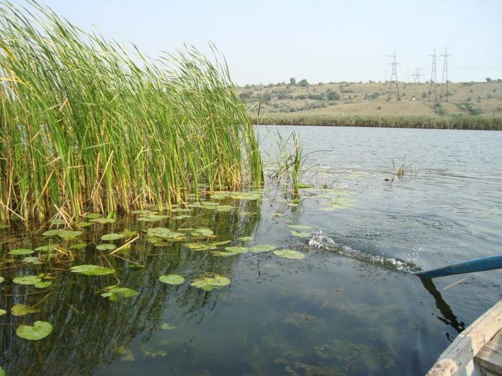 Троїцьке з panoramio.com - Троїцьке