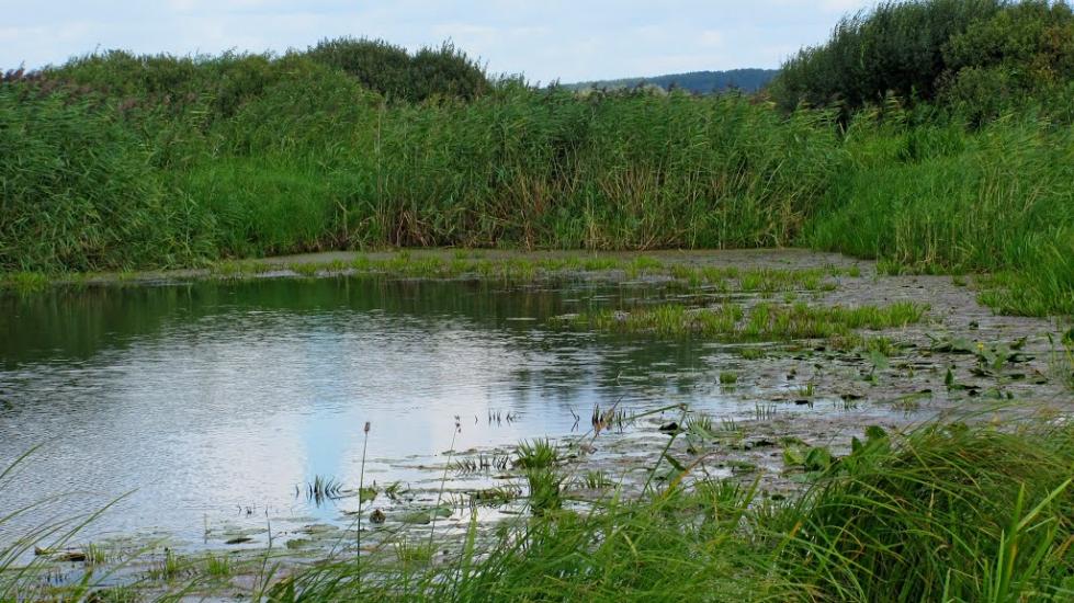 Кузнецовськ з panoramio.com - Varash