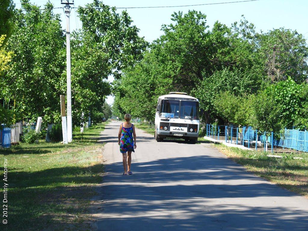 Рози Люксембург з panoramio.com - Гречани Поды