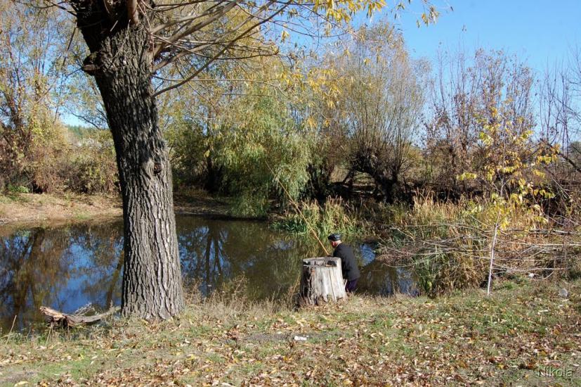 Кудряшівка з panoramio.com - Кудряшовка