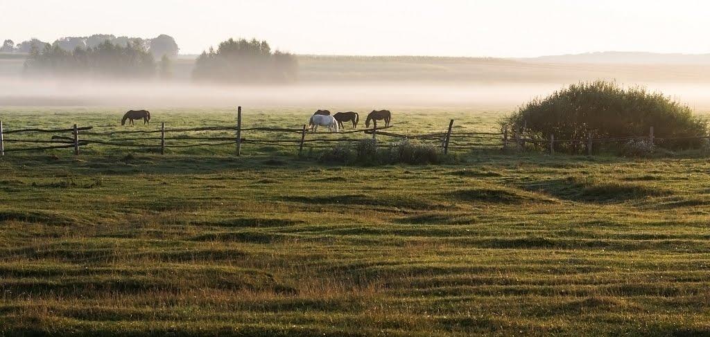 Юрівка з panoramio.com - Юрівка