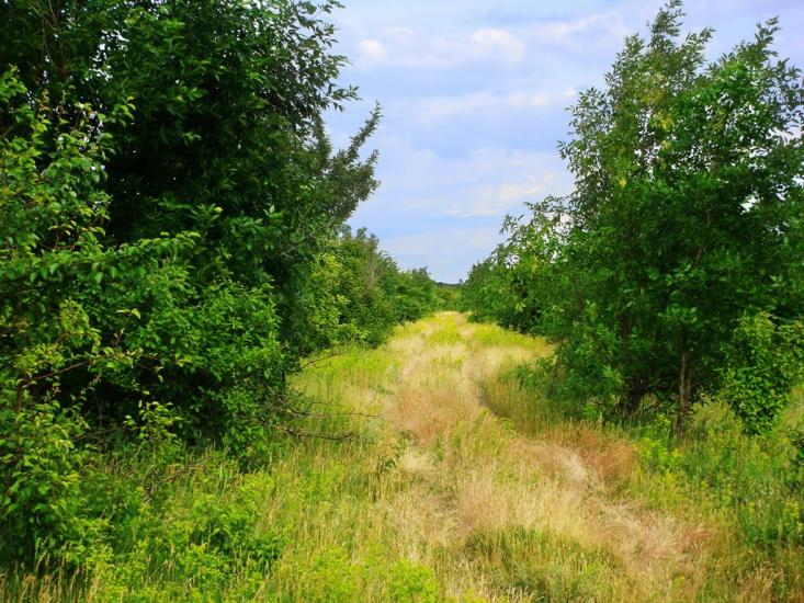 Гур'їв Козачок з panoramio.com - Гур'їв Козачок