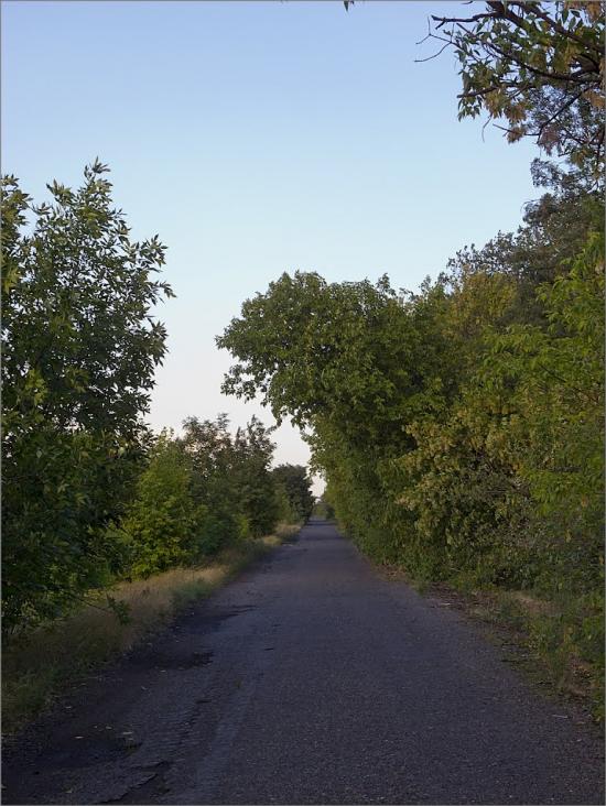 Орджонікідзе з panoramio.com - Орджоникидзе