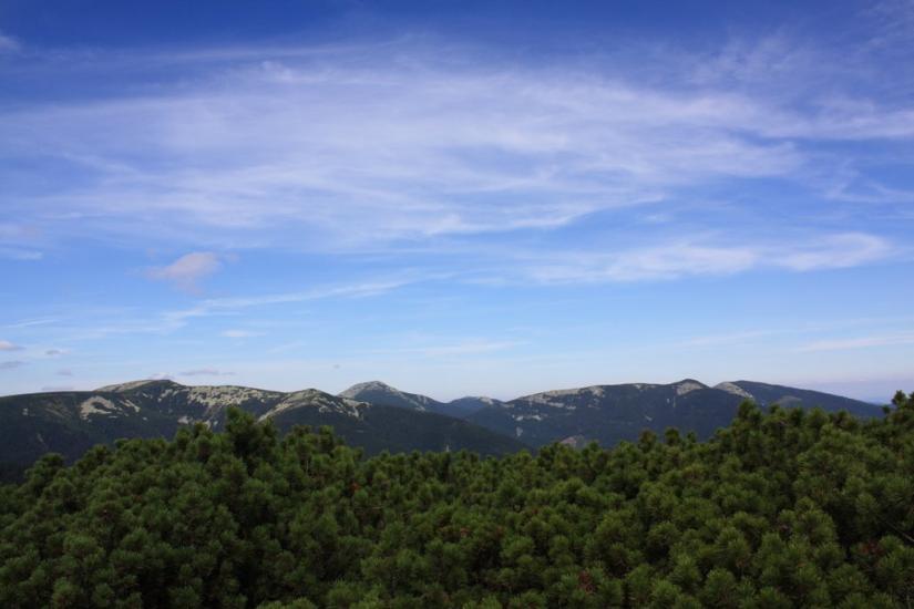 Осмолода з panoramio.com (ч.2) - Осмолода