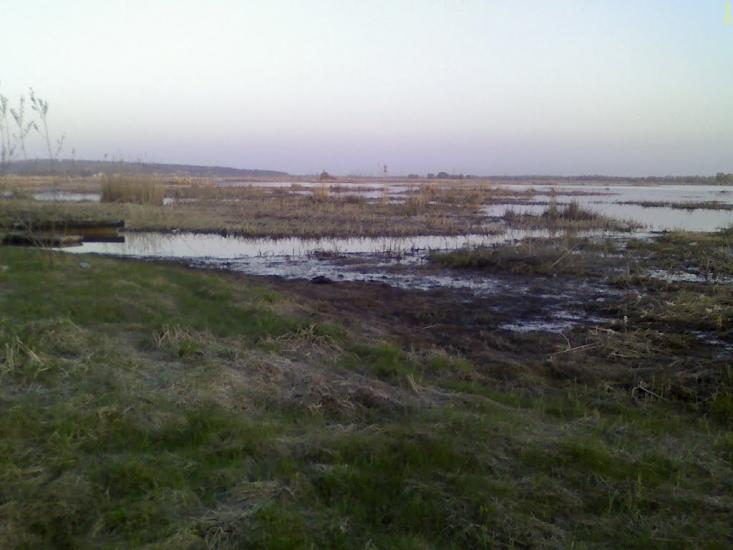Кам'яні Потоки з panoramio.com - Kamyani Potoky