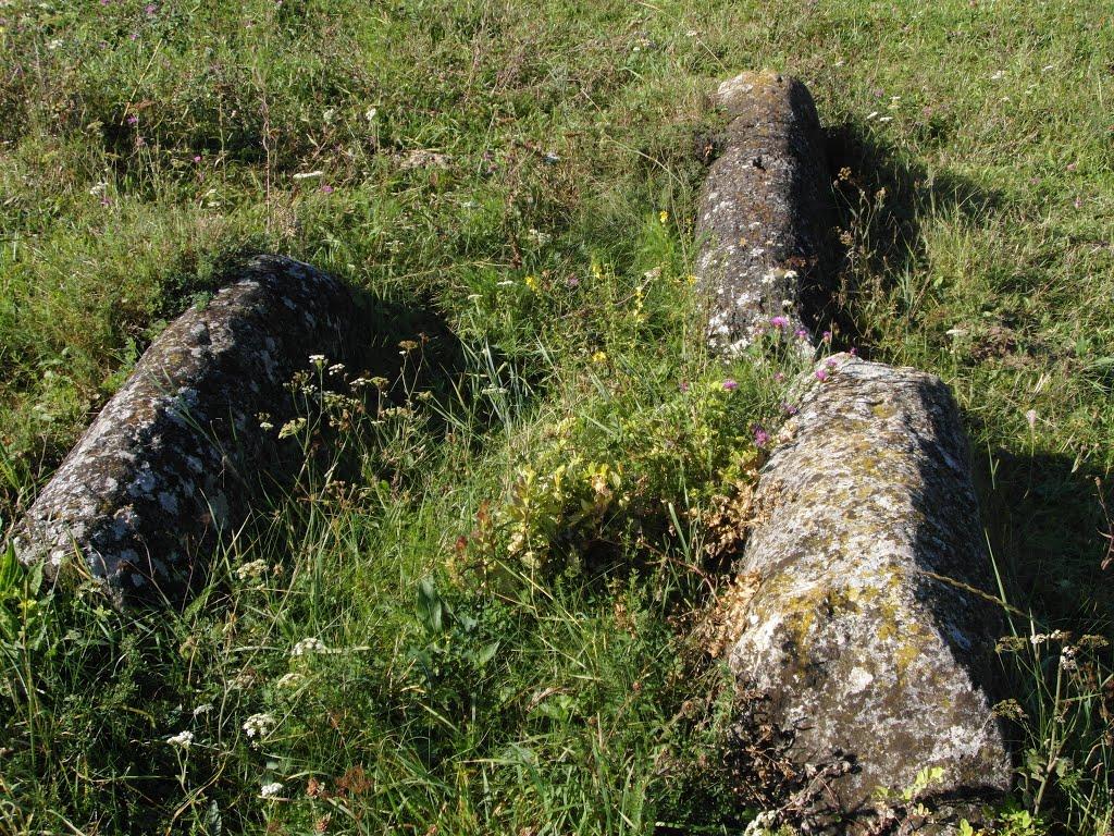 Тарноруда з panoramio.com - Tarnoruda