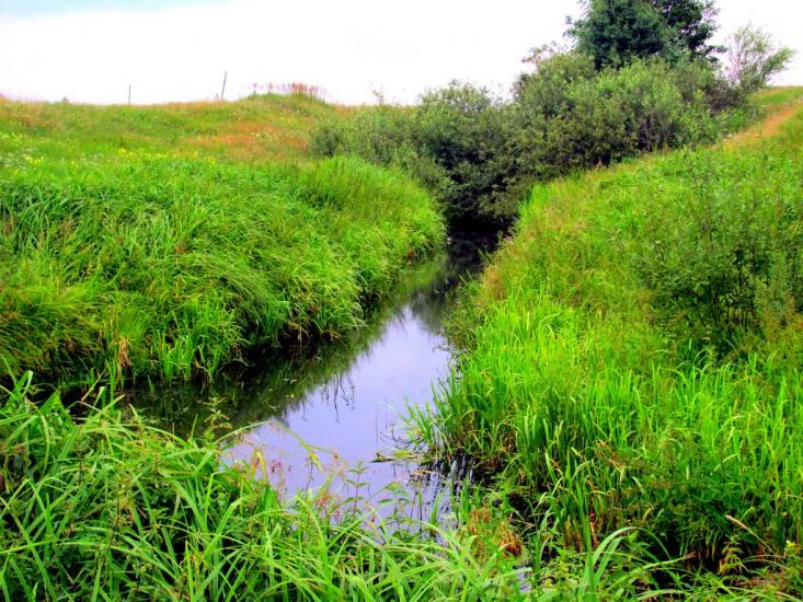 Чудля з panoramio.com - Чудля