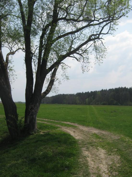 Комарів з panoramio.com - Комарів