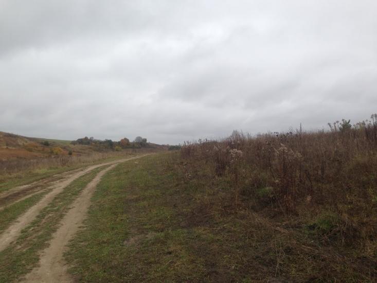 Тишевичі з panoramio.com - Тишевичі