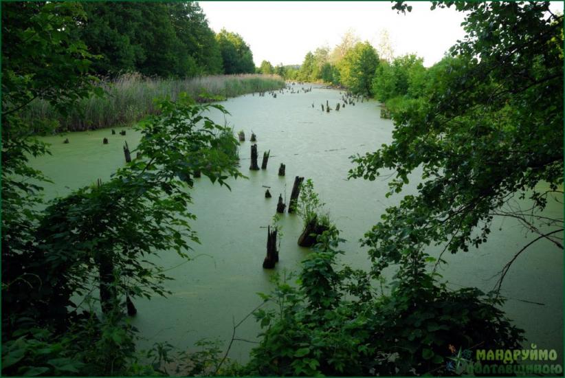 Кардашівка з panoramio.com - Кардашівка