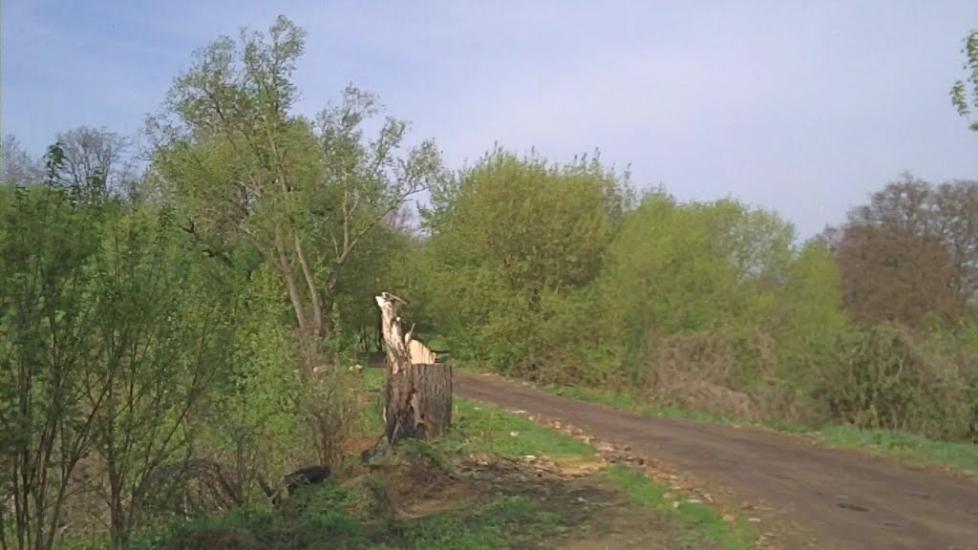 Олексіївка з panoramio.com - Алексеевка