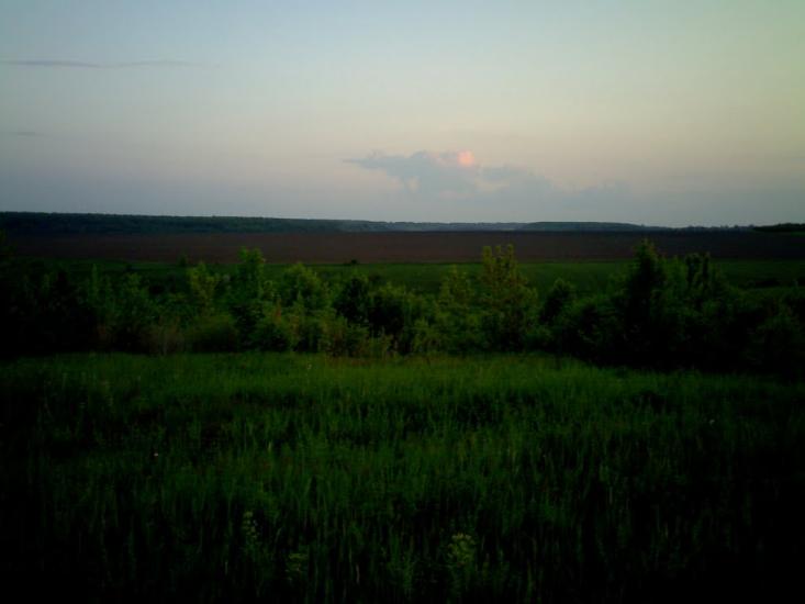 Дерегівка з panoramio.com - Дереговка