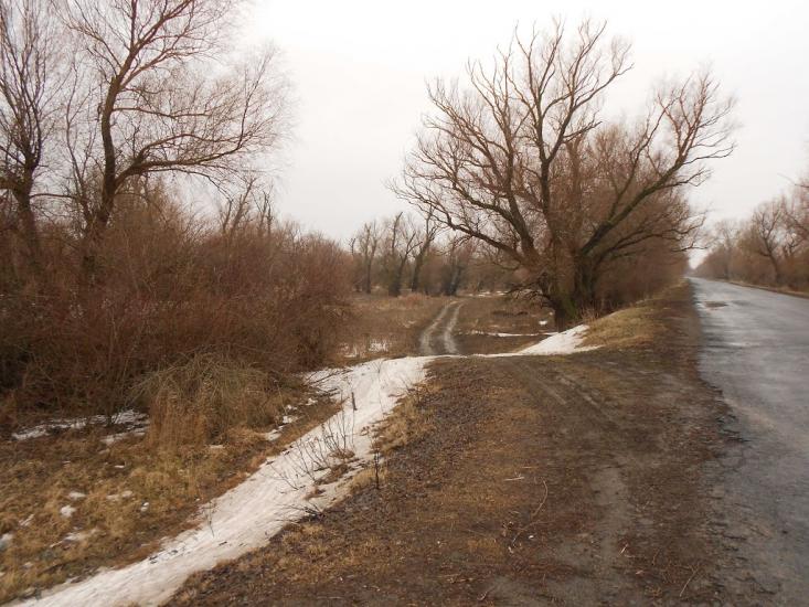 Кислиця з panoramio.com - Кислица